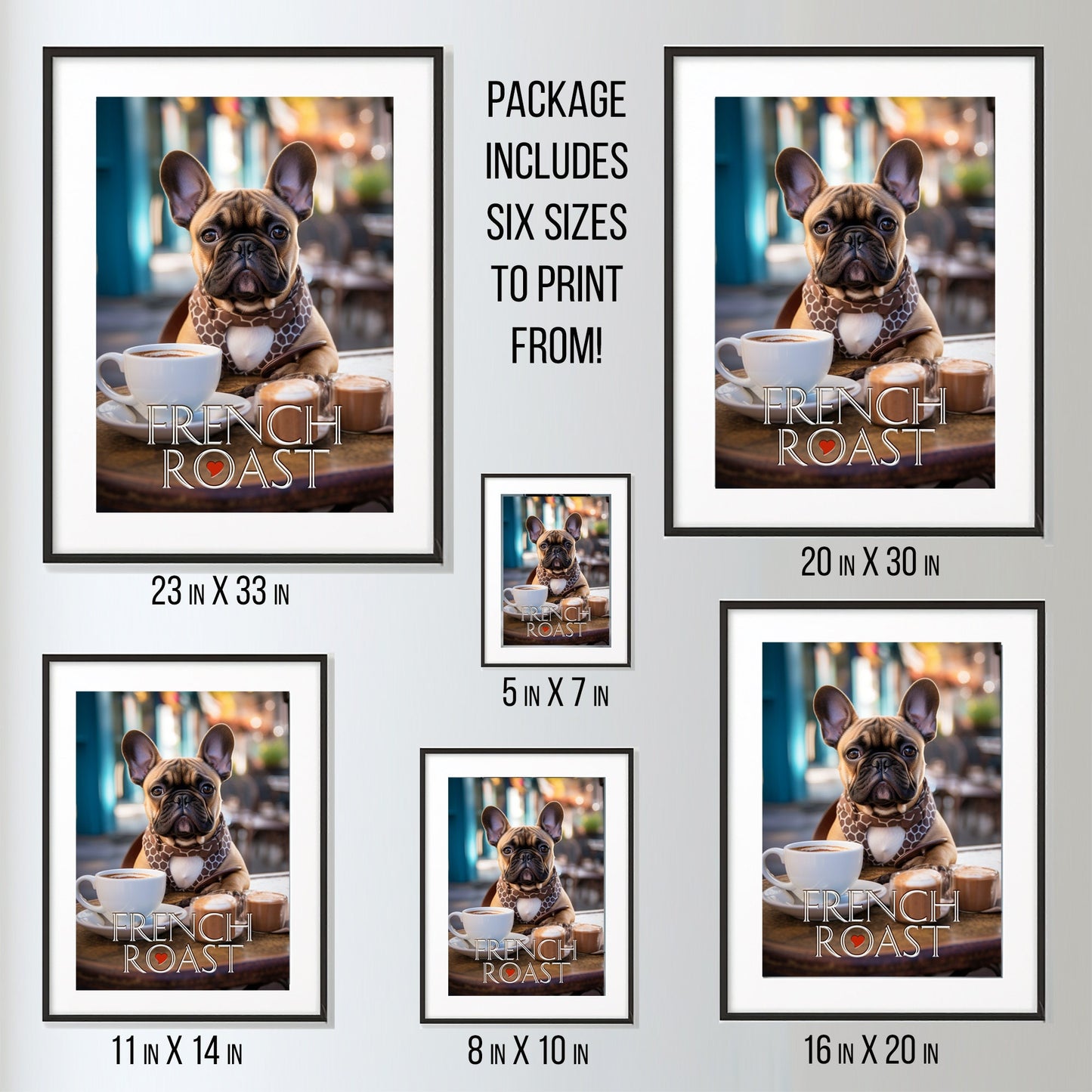 French Bulldog, French Roast_Size Diagram