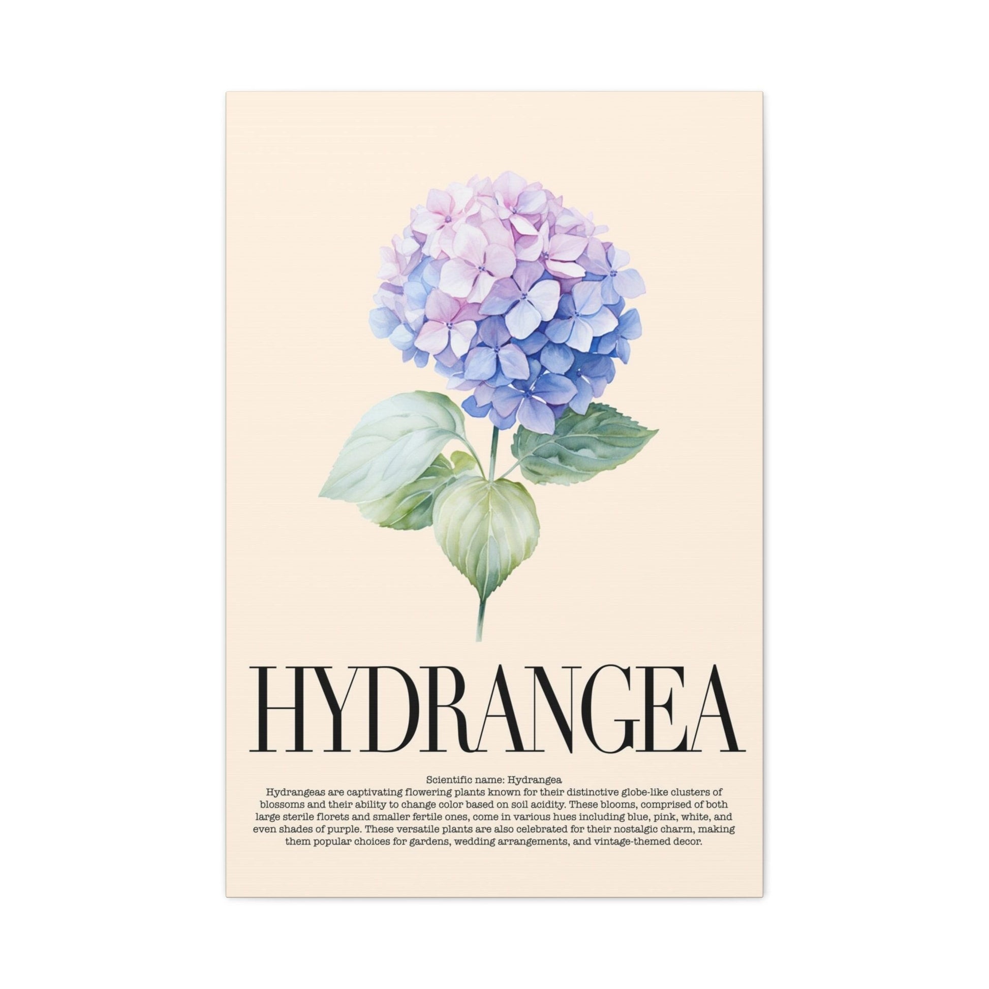 Hydrangea Water Color Wall Art_Front View