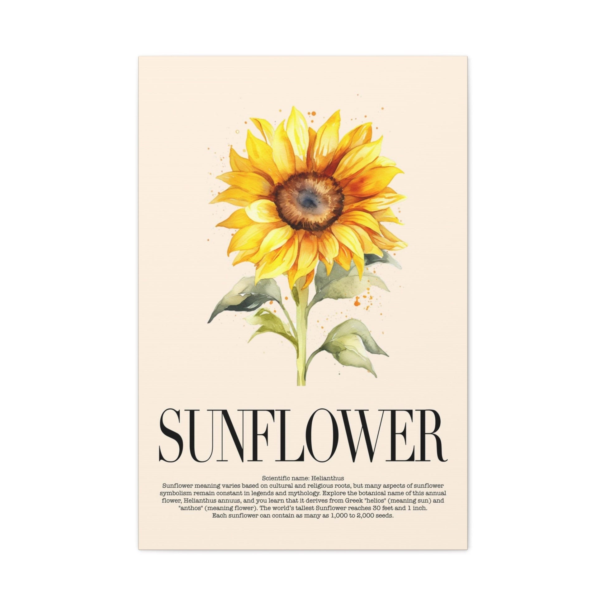 Sunflower Water Color Wall Art_Front View