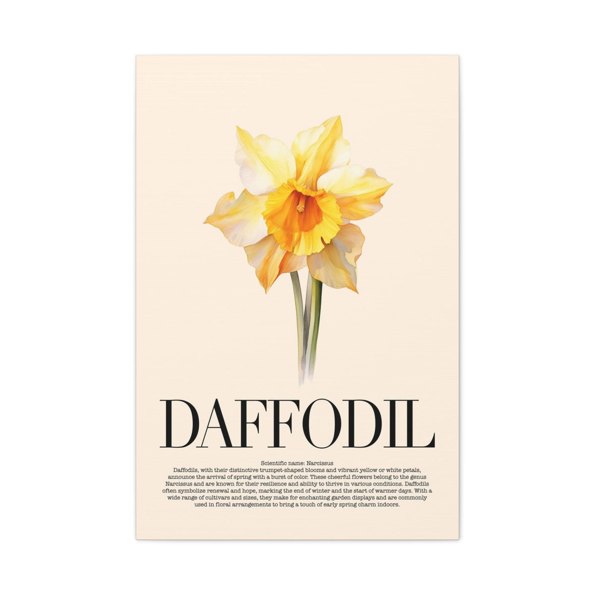 Daffodil Water Color Wall Art_Front View