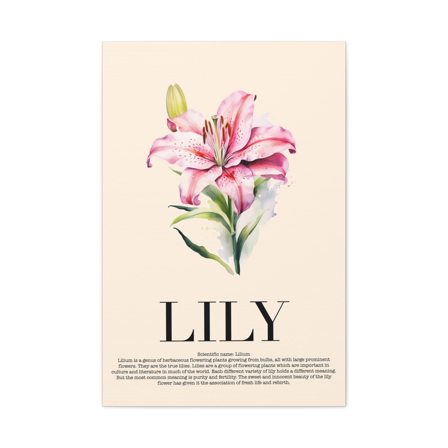 Lily Water Color Wall Art_Front View