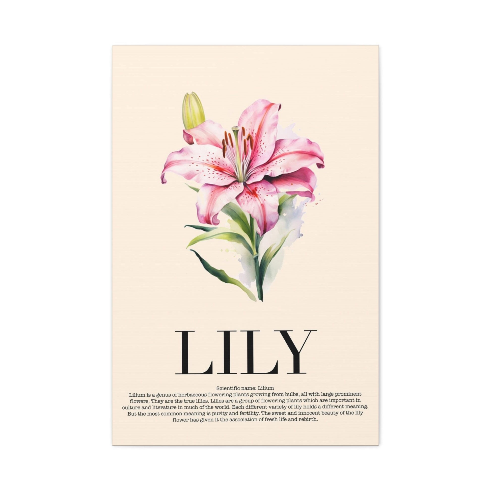 Lily Water Color Wall Art_Front View
