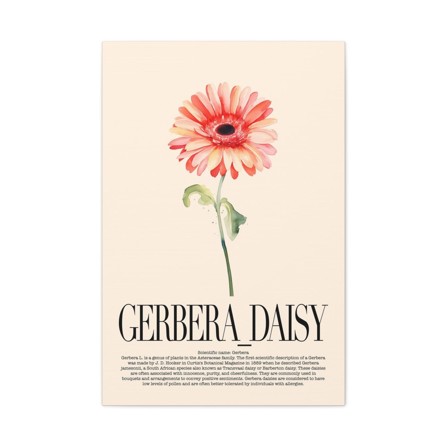 Gerbrera Daisy Wall Art_Front View