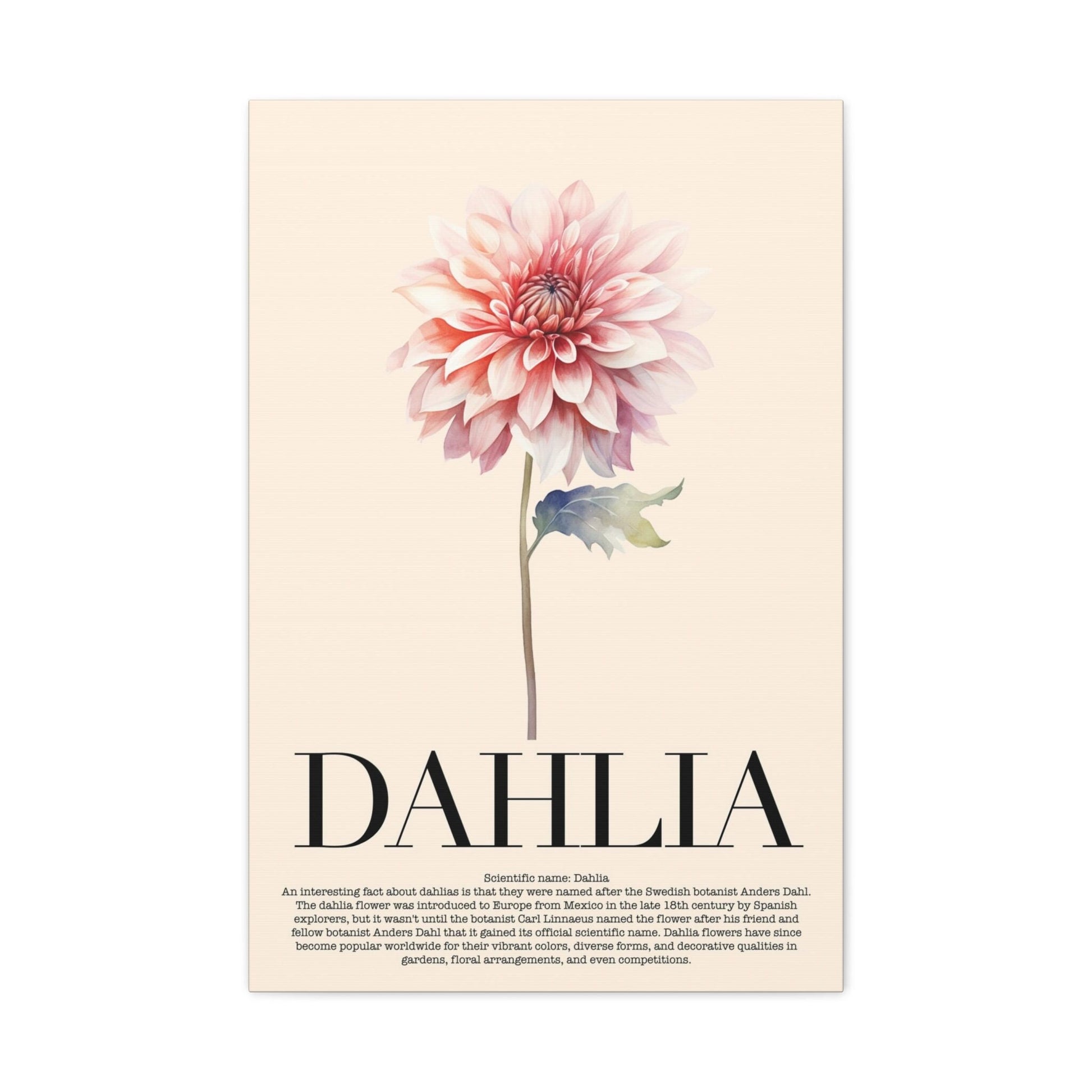 Dahlia Water Color Wall Art_Front View