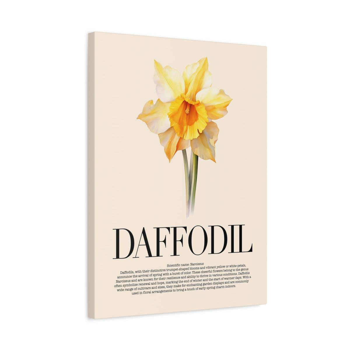 Daffodil Water Color Wall Art_Side View