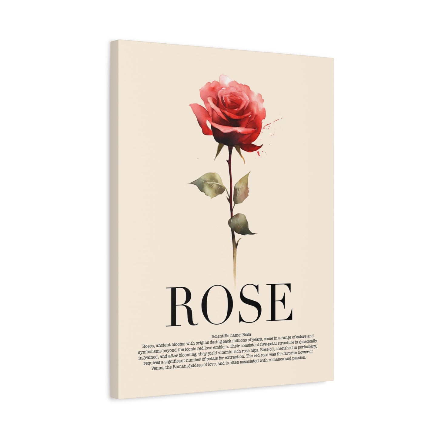Rose Water Color Wall Art_Side View