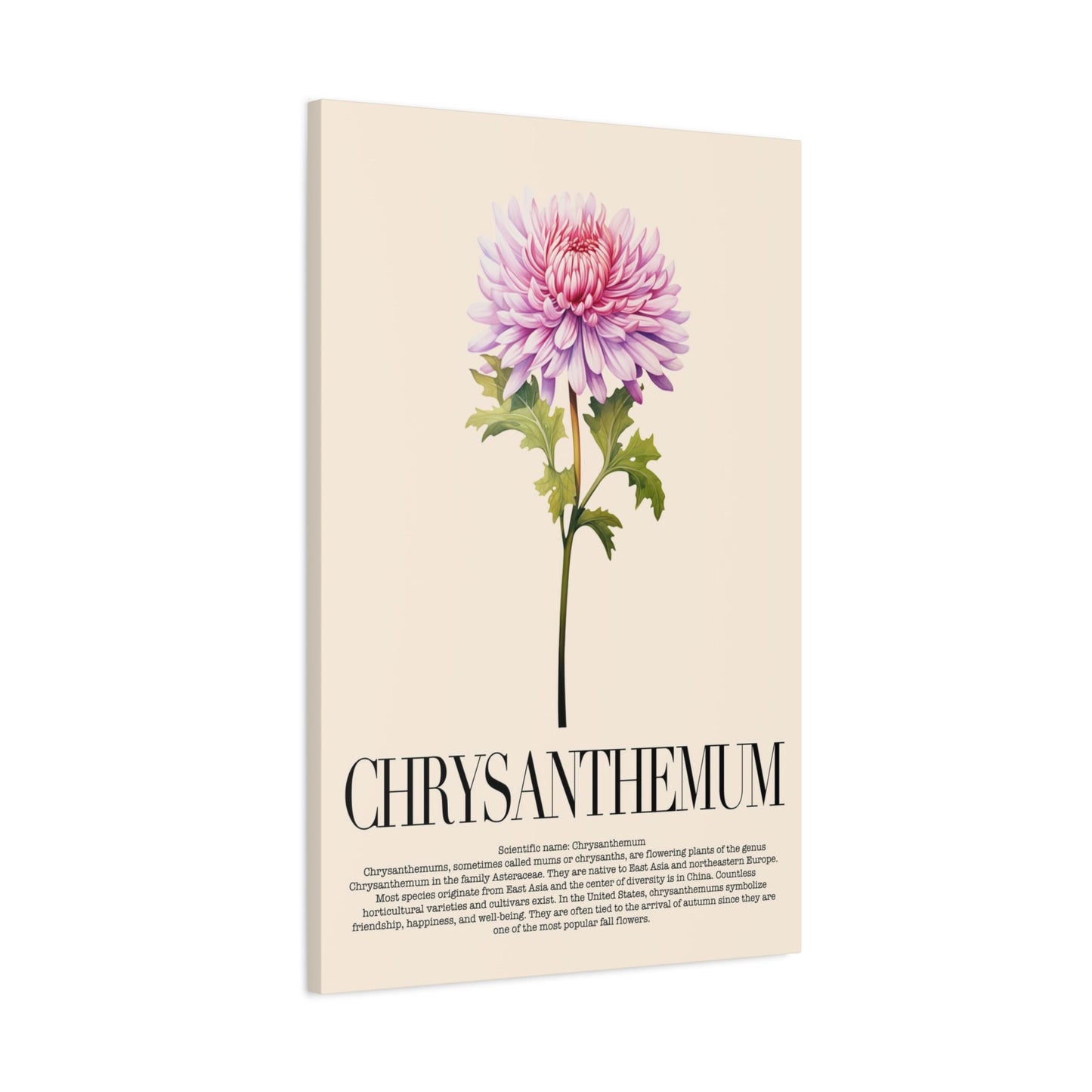 Chrysanthemum Water Color Wall Art_Side View