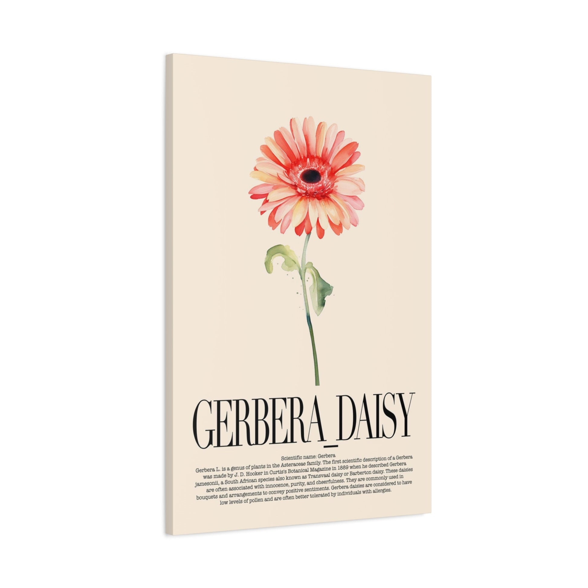 Gerbrera Daisy Wall Art_Side View