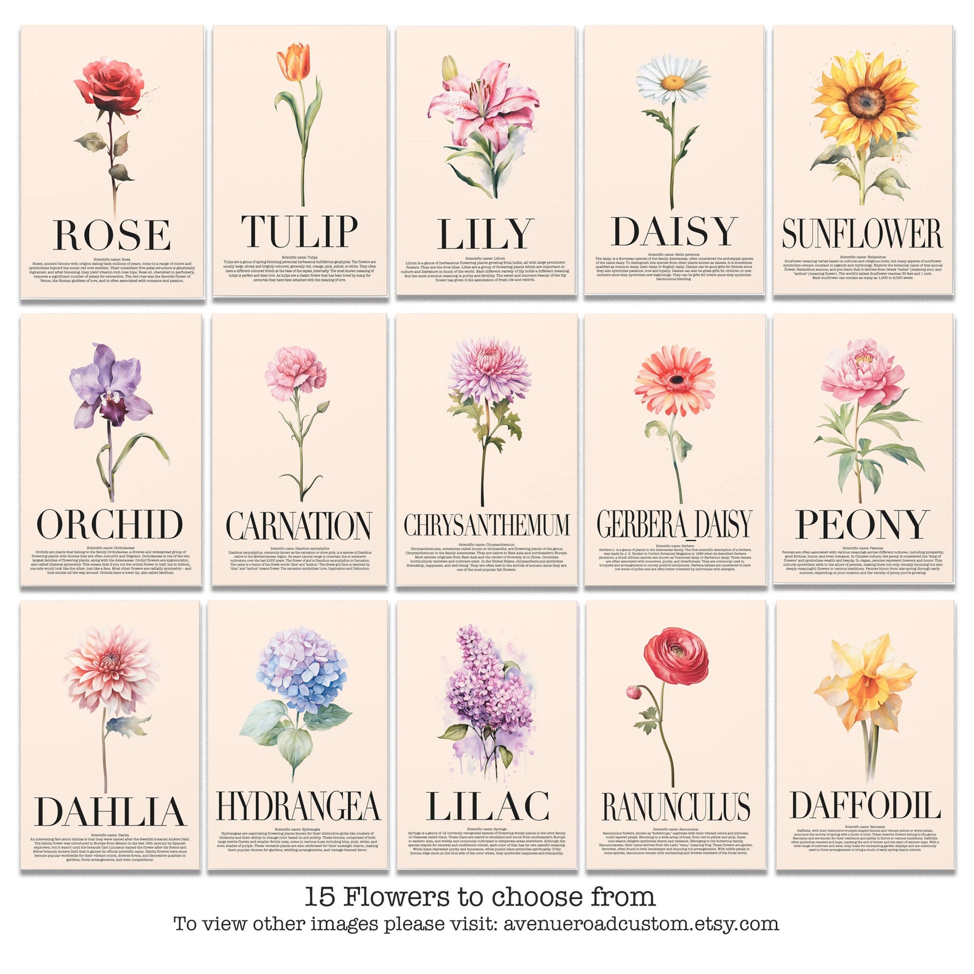 Lily Water Color Wall Art_Collection