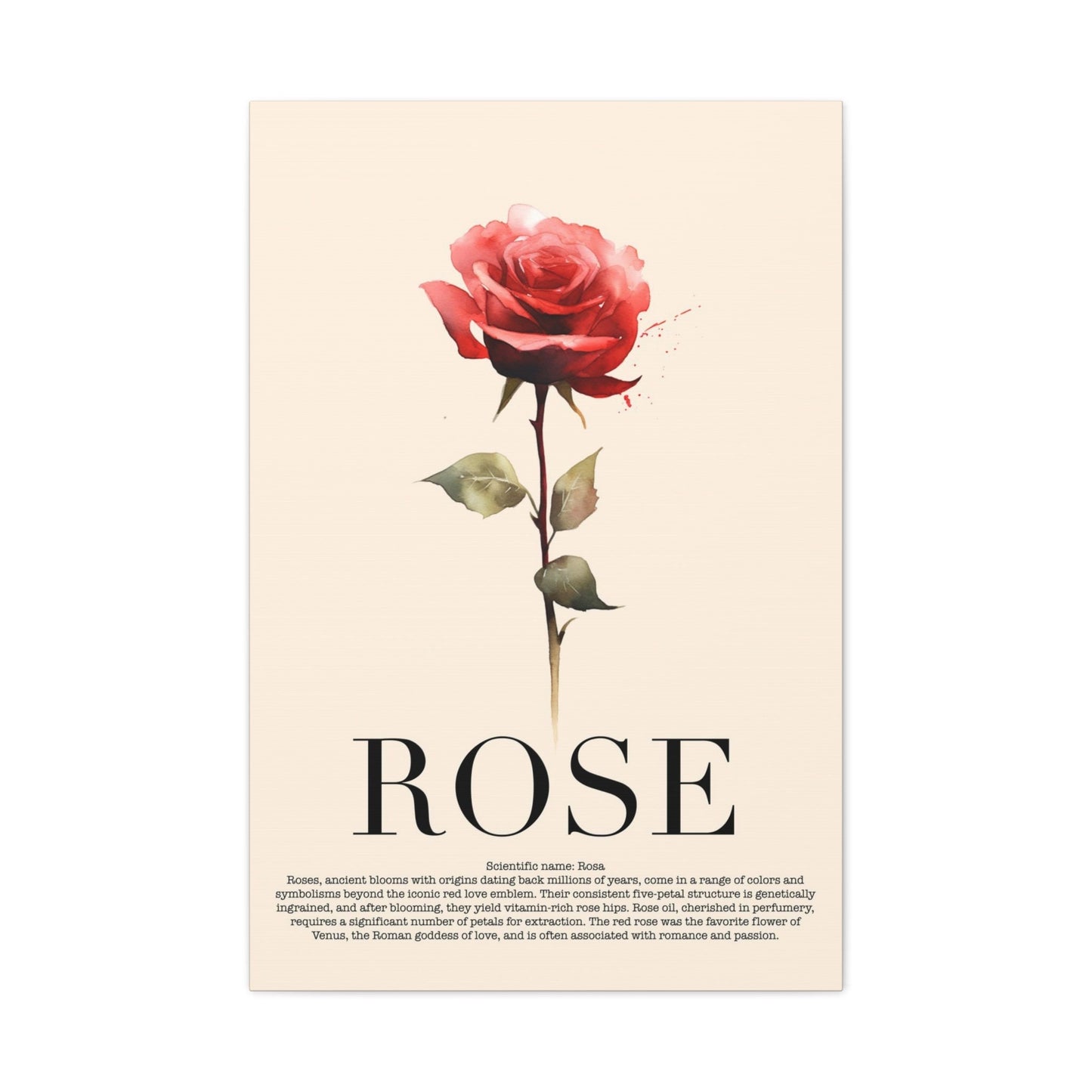 Rose Water Color Wall Art_Front View