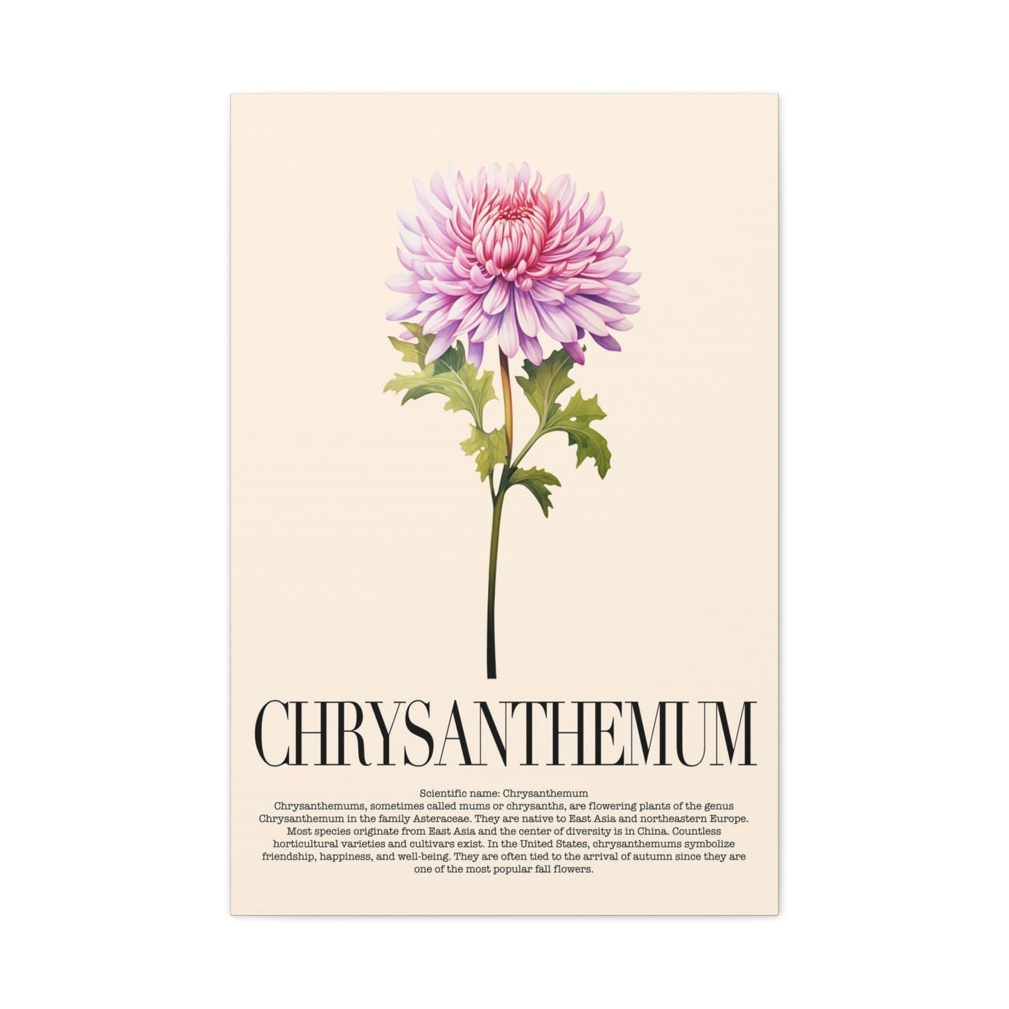 Chrysanthemum Water Color Wall Art_Front View