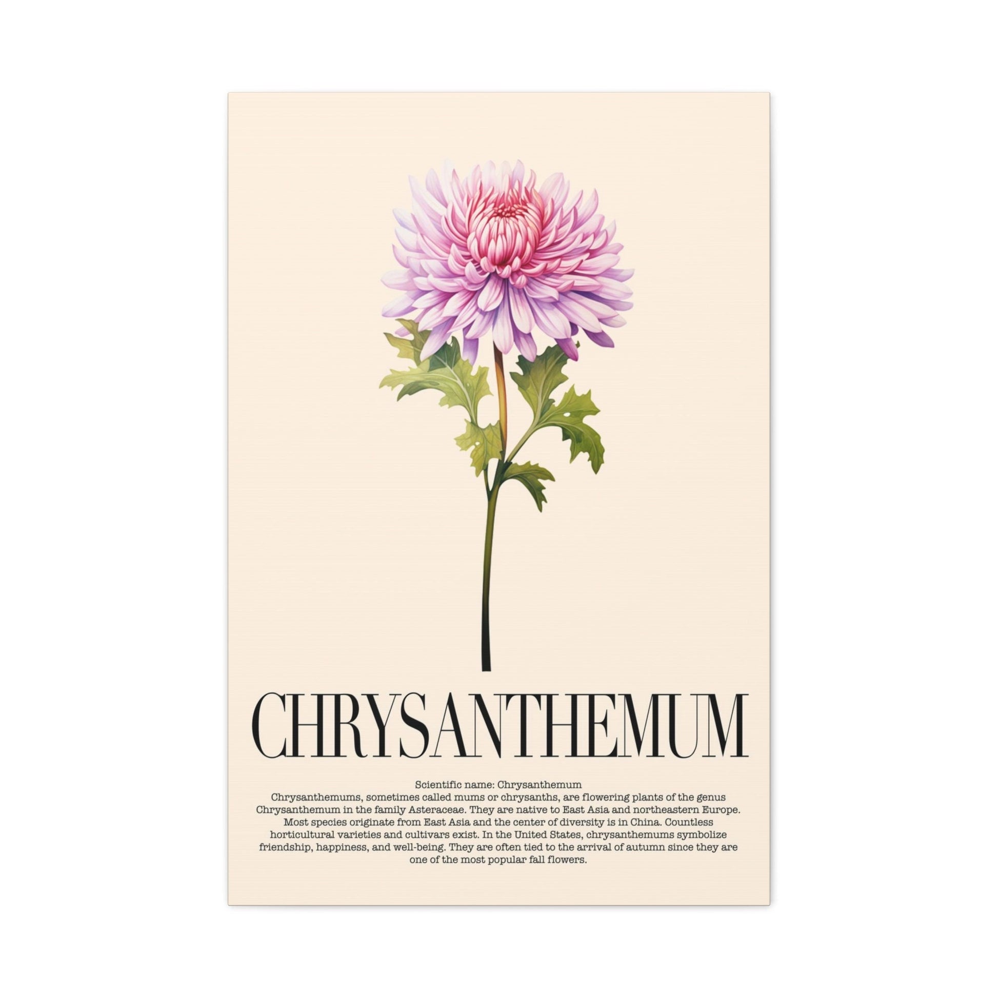 Chrysanthemum Water Color Wall Art_Front View