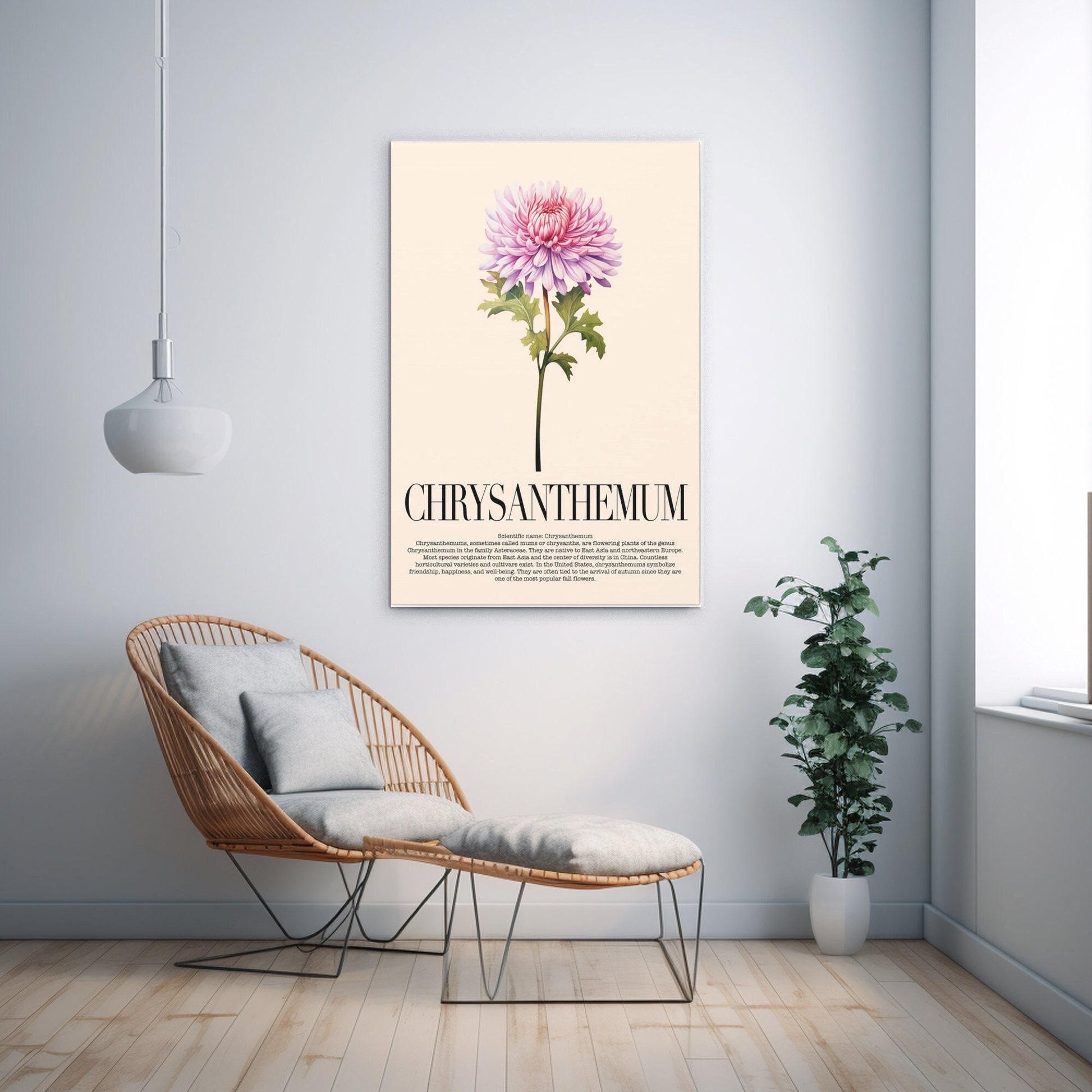 Chrysanthemum Water Color Wall Art_Home Decor