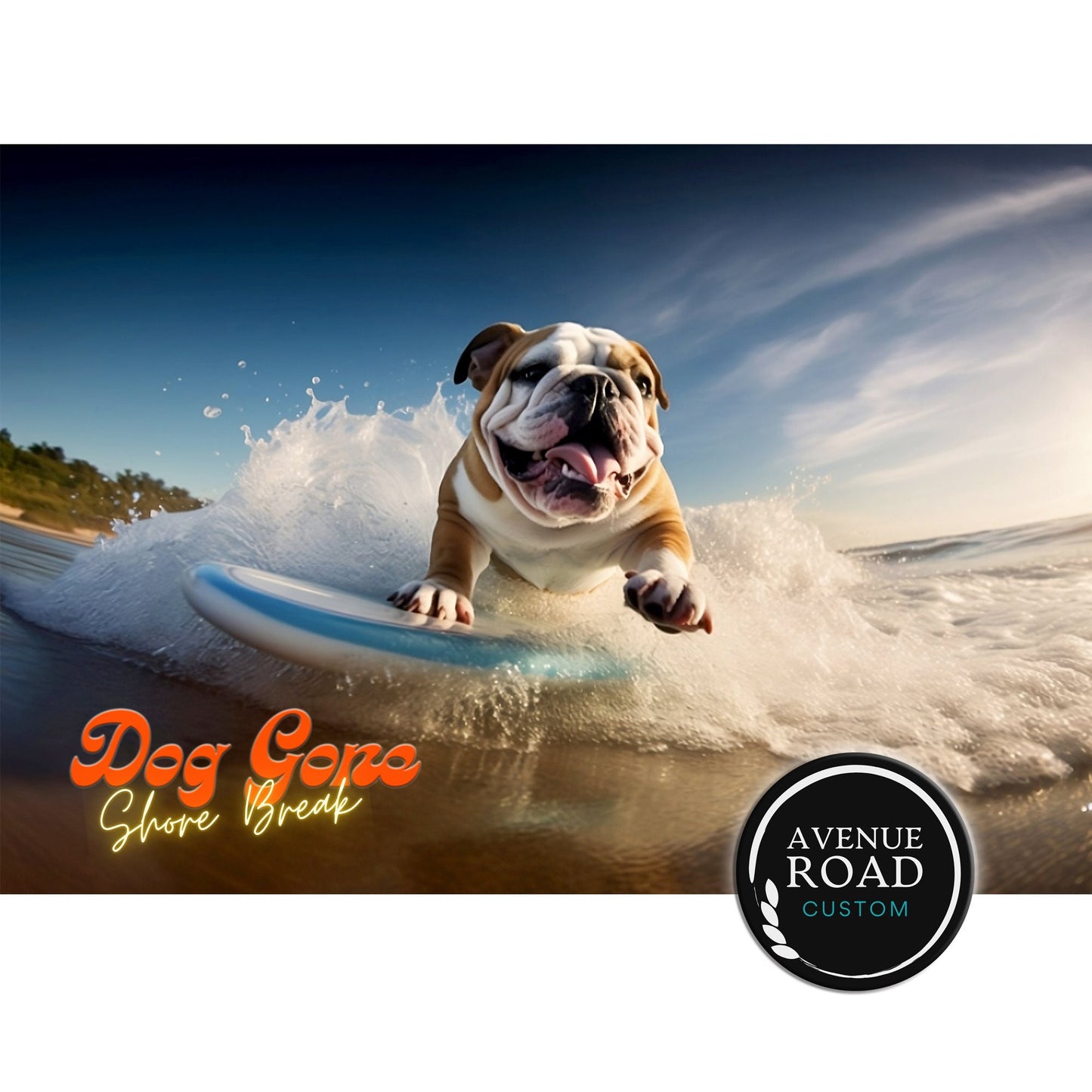 English Bulldog Surfing_Front View